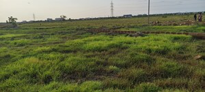 Plot Area in  Plot at Patrapada – for Sale