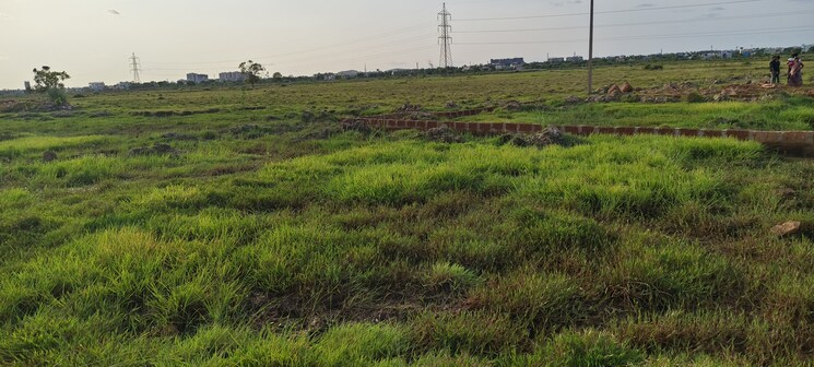 undefined, patrapada  1535 Sq.Ft. Plot In Patrapada Bhubaneswar 8849138