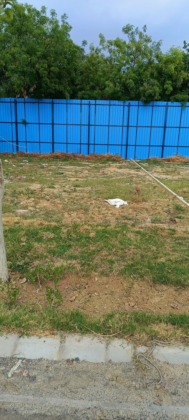 undefined, sector 84  353 Sq.Yd. Plot In Sector 84 Faridabad 8849206