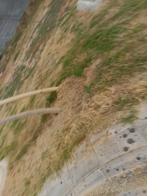 Plot Area in  Plot at Sector 84 – for Sale