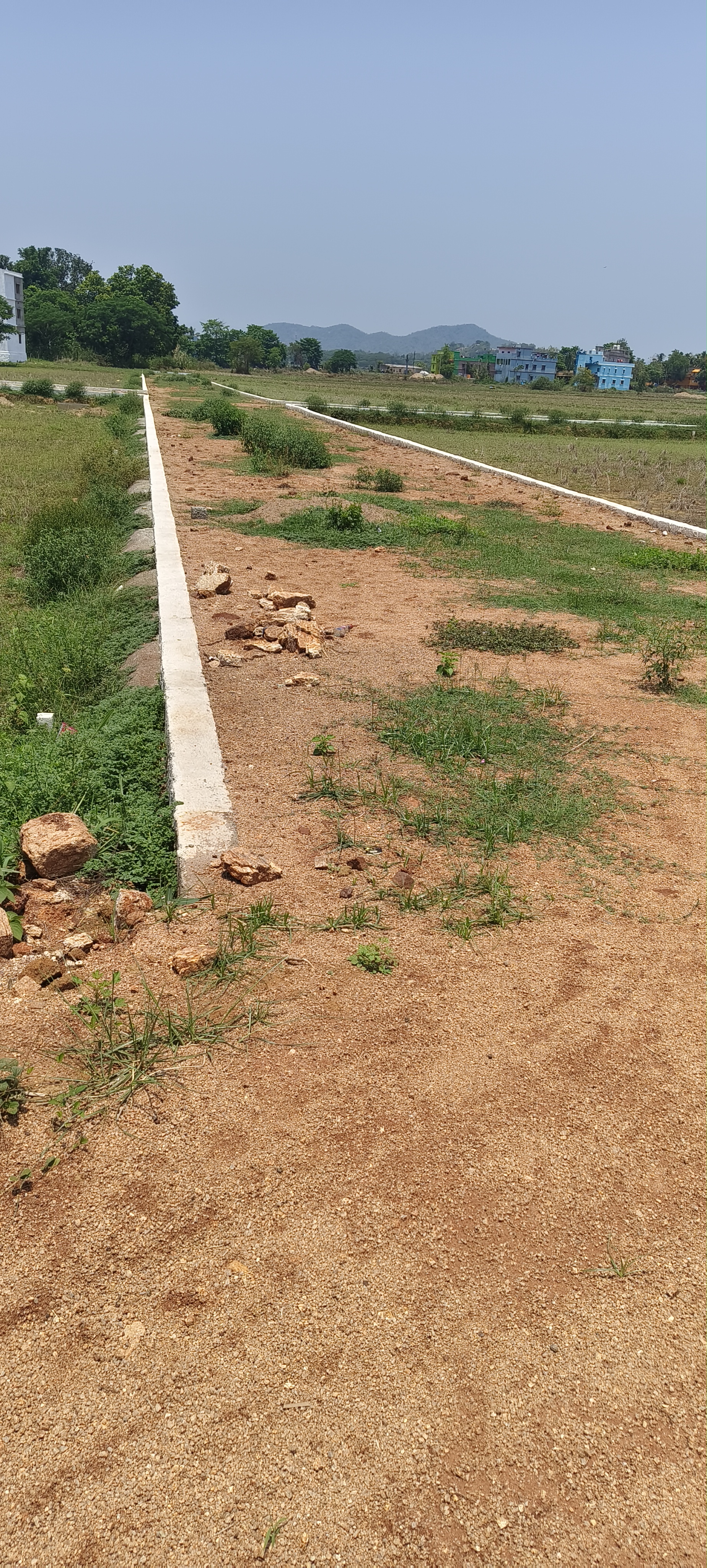 Plot For Sale in Patrapoda 