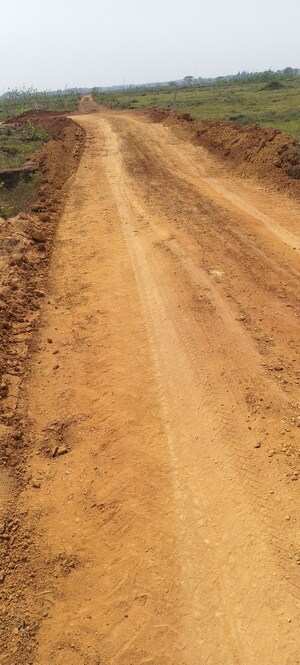  Plot For Sale in Patrapada