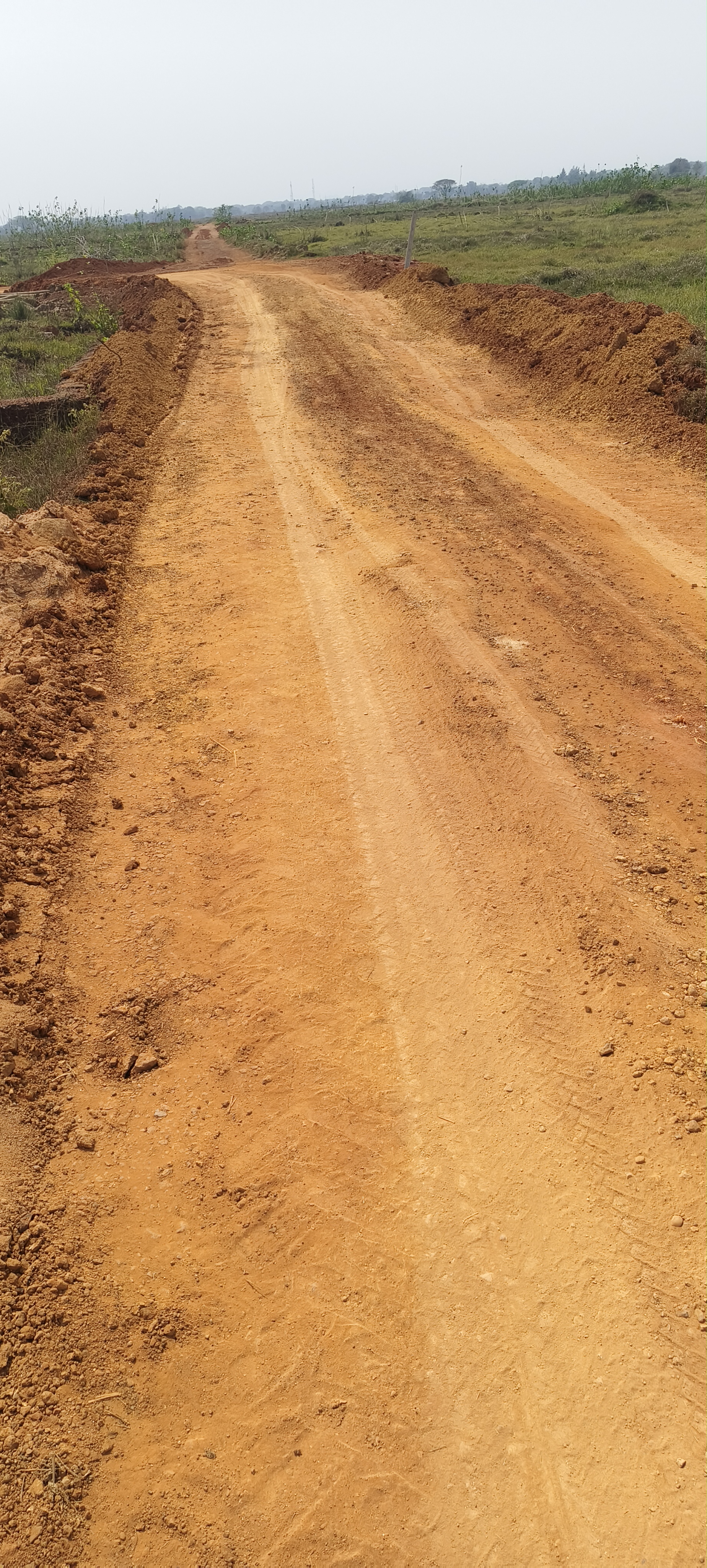 Plot For Sale in Patrapoda Bhubaneswar 