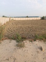 100 Sq.Yd. Plot in Ark Vista Residency 