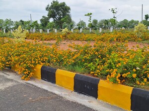  Plot For Sale in Amangal