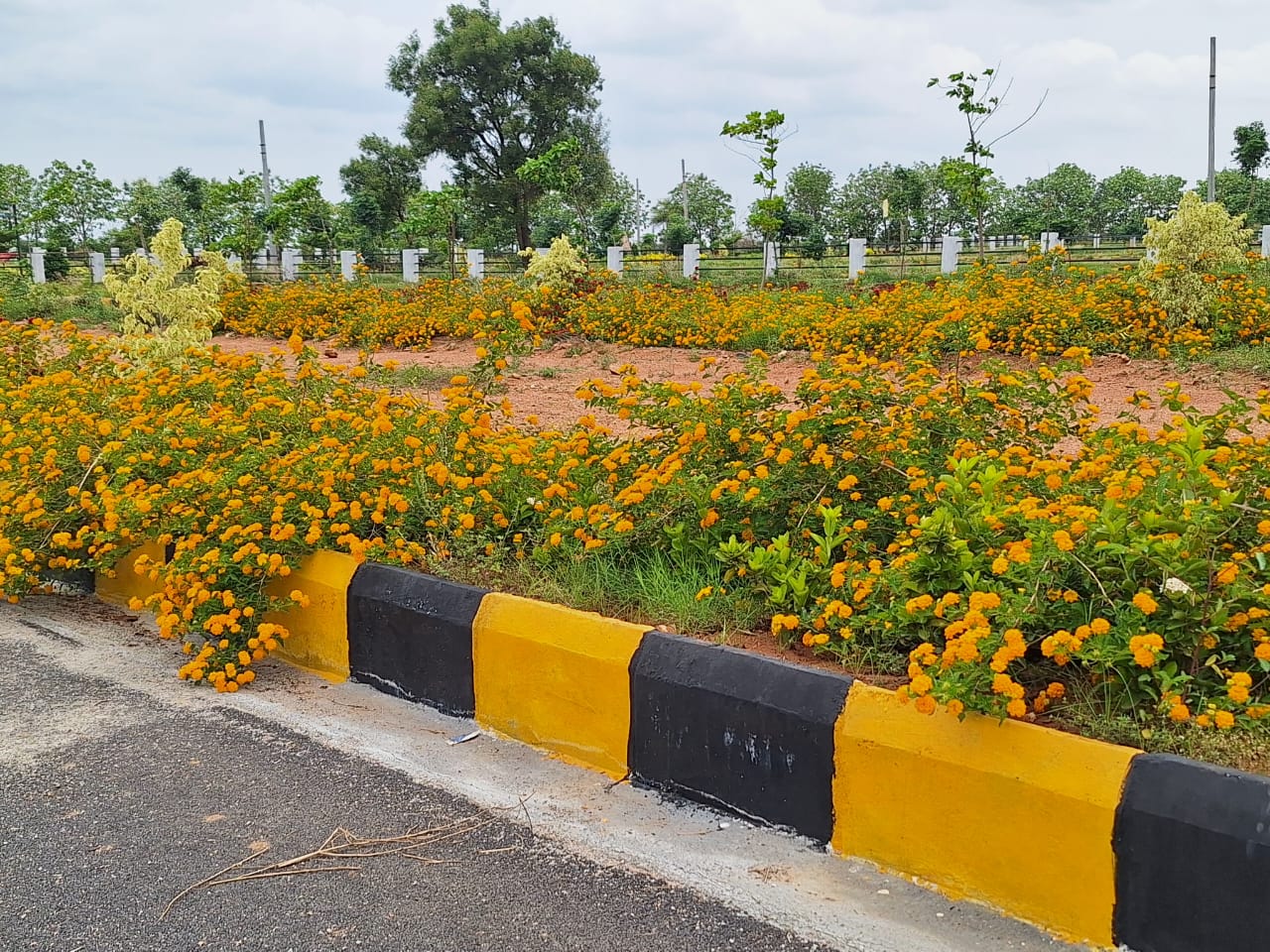 Plot For Sale in Sree India Township 