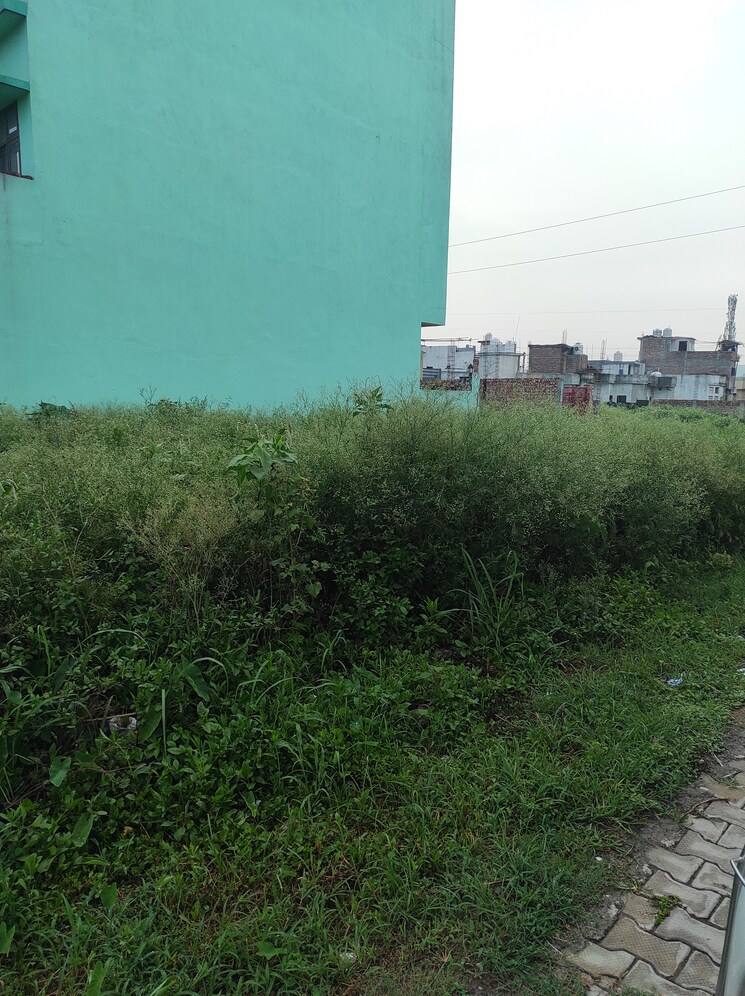 Garden, shimla bypass road  900 Sq.Ft. Plot In Shimla Bypass Road Dehradun 8849834