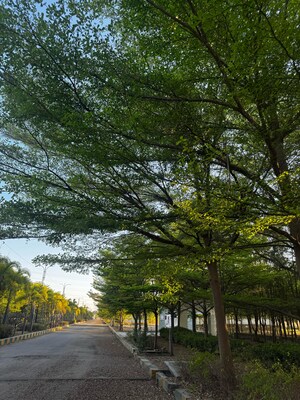  Plot – Garden View at Premium County, Tukkuguda - for Sale