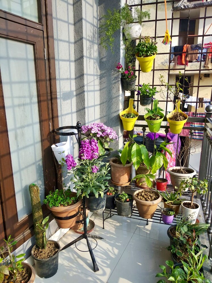 Balcony, andheria mor village 3 Bedroom 1300 Sq.Ft. Builder Floor In Andheria Mor Village Delhi 8849940