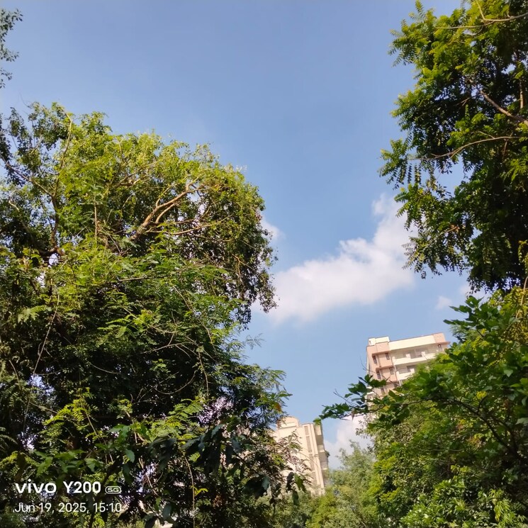 Garden, settlers-india 2.5 Bedroom 1500 Sq.Ft. Builder Floor In Sector 57 Gurgaon 8850010