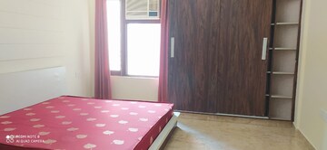 Room in 1 RK Builder Floor at Baani Square, Sector 50 – for Rent