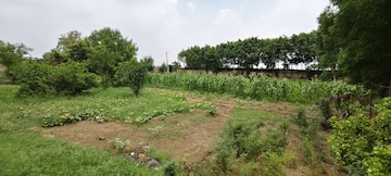  Plot For Sale in Green Farms, Damdma
