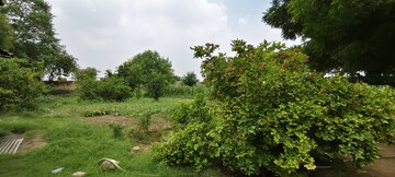  Plot – Garden View at Green Farms, Damdma - for Sale