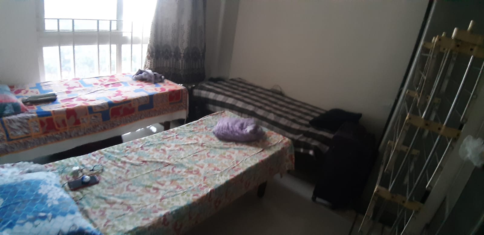 Pg For Rent in Sm Business 