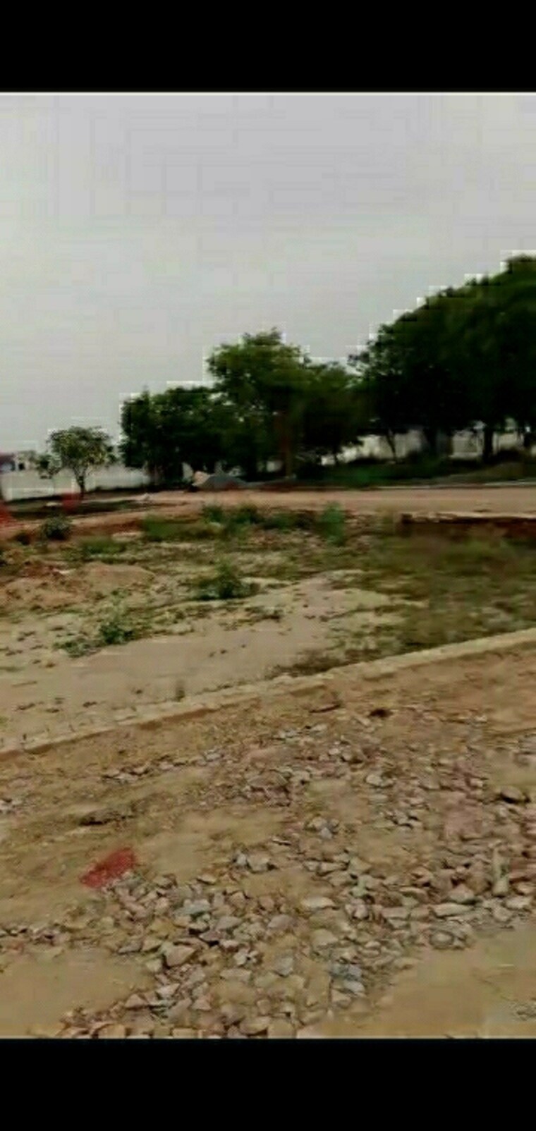 undefined, ashiana-amaltas  62 Sq.Yd. Plot In Sector 79 Noida 8850036