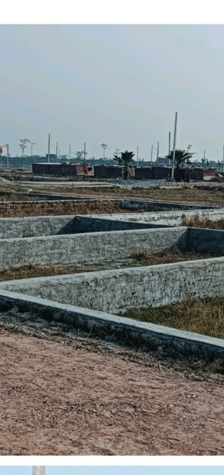 undefined, ashiana-amaltas  62 Sq.Yd. Plot In Sector 79 Noida 8850036