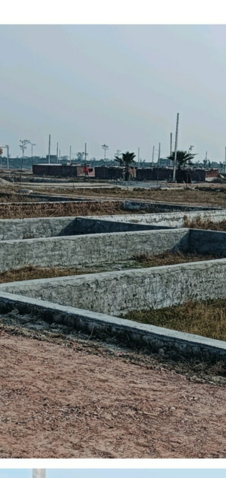 undefined, ashiana-amaltas  62 Sq.Yd. Plot In Sector 79 Noida 8850036