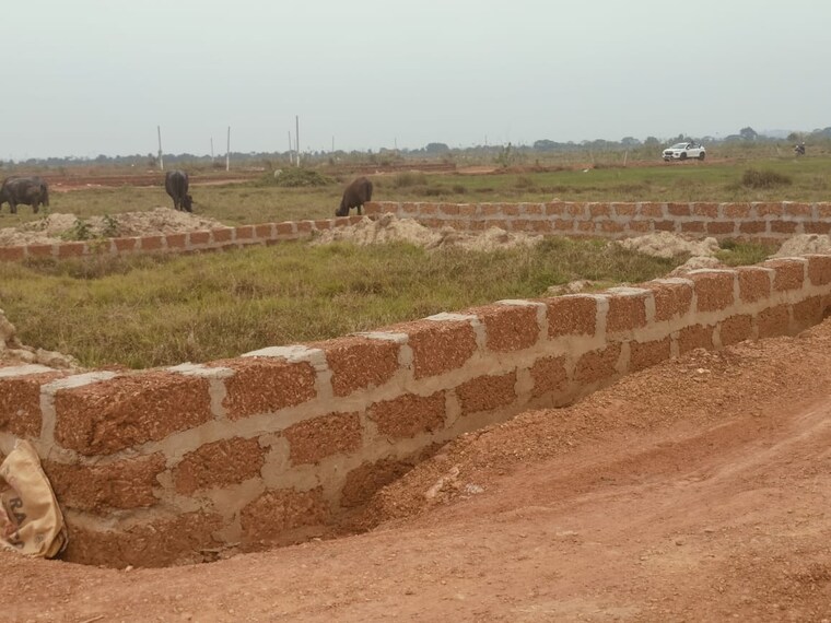 undefined, patrapada  1305 Sq.Ft. Plot In Patrapada Bhubaneswar 8850040