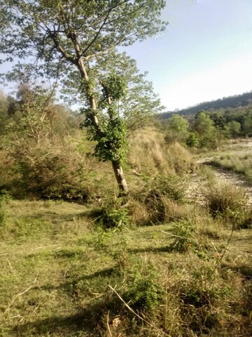  Plot For Sale in Chari Khas