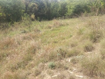 Plot Area in  Plot at Chari Khas – for Sale