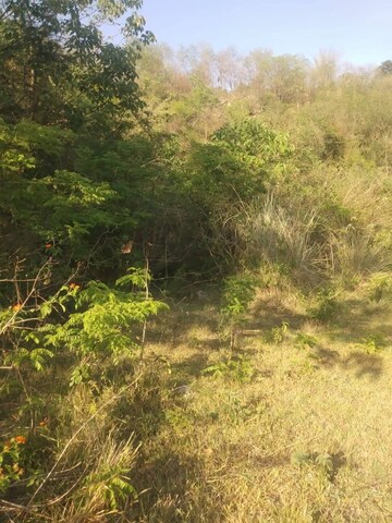  Plot – Garden View at Chari Khas - for Sale