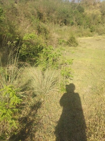  Plot – Garden View at Chari Khas - for Sale