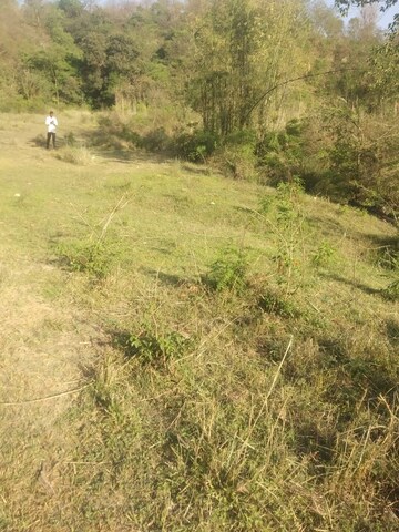 Plot Area in  Plot at Chari Khas – for Sale