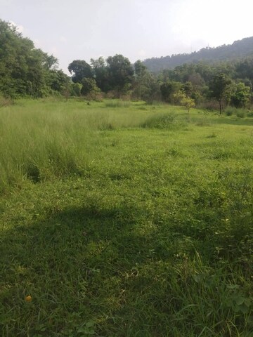 Plot Area in  Plot at Chari Khas – for Sale