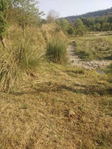 Plot Area in  Plot at Chari Khas – for Sale