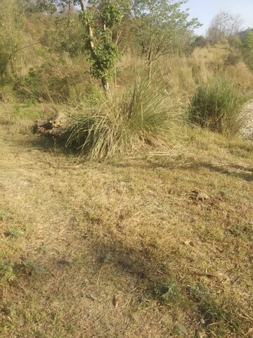 Plot Area in  Plot at Chari Khas – for Sale
