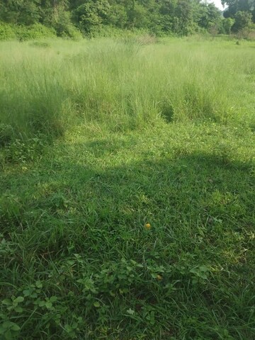 Plot Area in  Plot at Chari Khas – for Sale