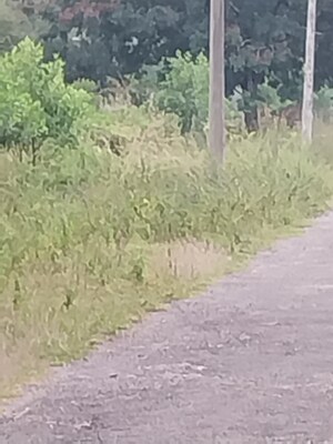  Plot – Exterior View View at Tatti Annaram - for Sale