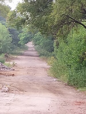 Plot Area in  Plot at Tatti Annaram – for Sale