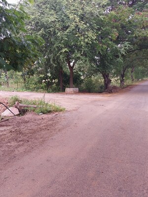 Plot Area in  Plot at Tatti Annaram – for Sale