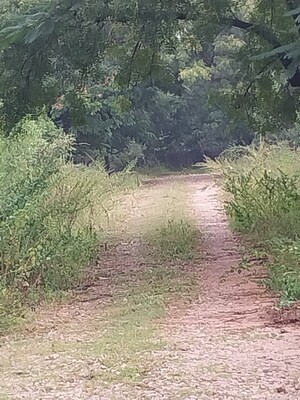  Plot – Garden View at Tatti Annaram - for Sale