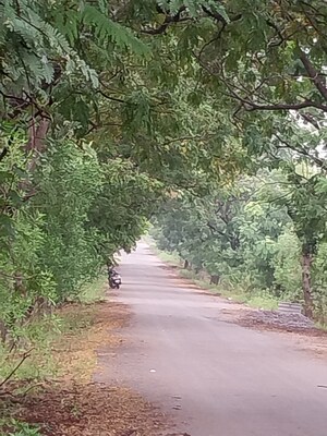 Plot Area in  Plot at Tatti Annaram – for Sale