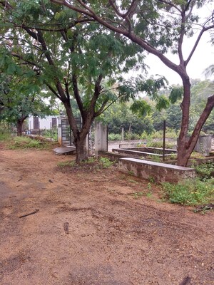  Plot – Exterior View View at Tatti Annaram - for Sale