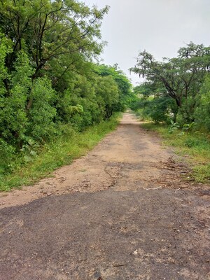 Plot Area in  Plot at Tatti Annaram – for Sale