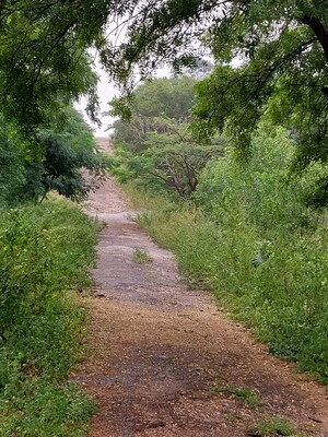  Plot – Garden View at Tatti Annaram - for Sale