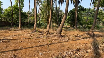 Plot Area in  Plot at Alibag – for Sale