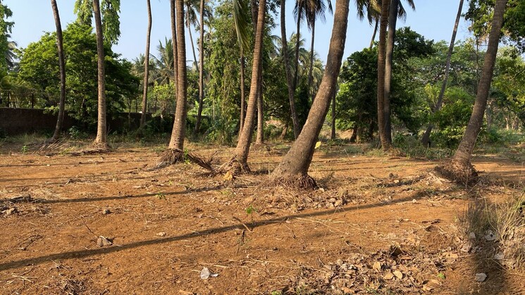 undefined, alibag  40000 Sq.Ft. Plot In Alibag Raigad 8850543