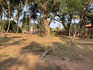 Plot For Sale in Alibag