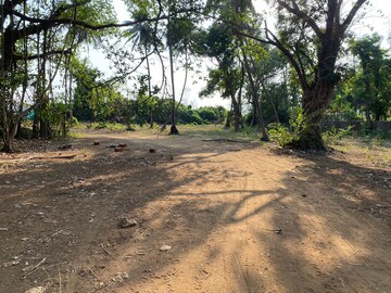 Plot Area in  Plot at Alibag – for Sale