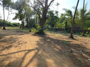 Plot Area in  Plot at Alibag – for Sale