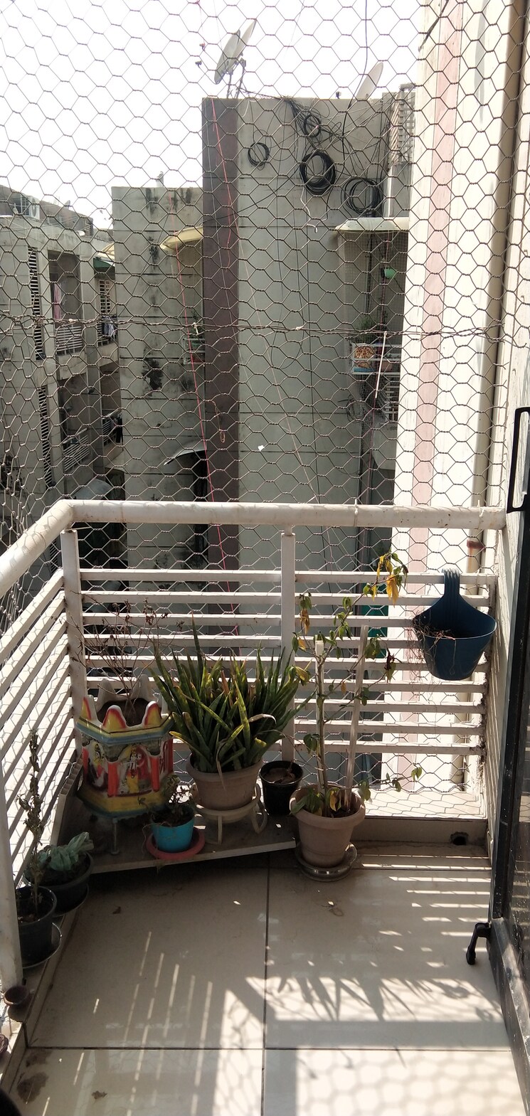 Balcony, nava naroda 1 Bedroom 747 Sq.Ft. Apartment In Nava Naroda Ahmedabad 8850499