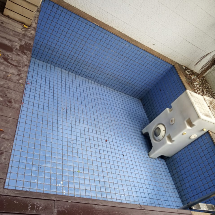 Bathroom, vipul-tatvam-villas 3 Bedroom 3000 Sq.Ft. Villa In Dhani Gurgaon 8850856