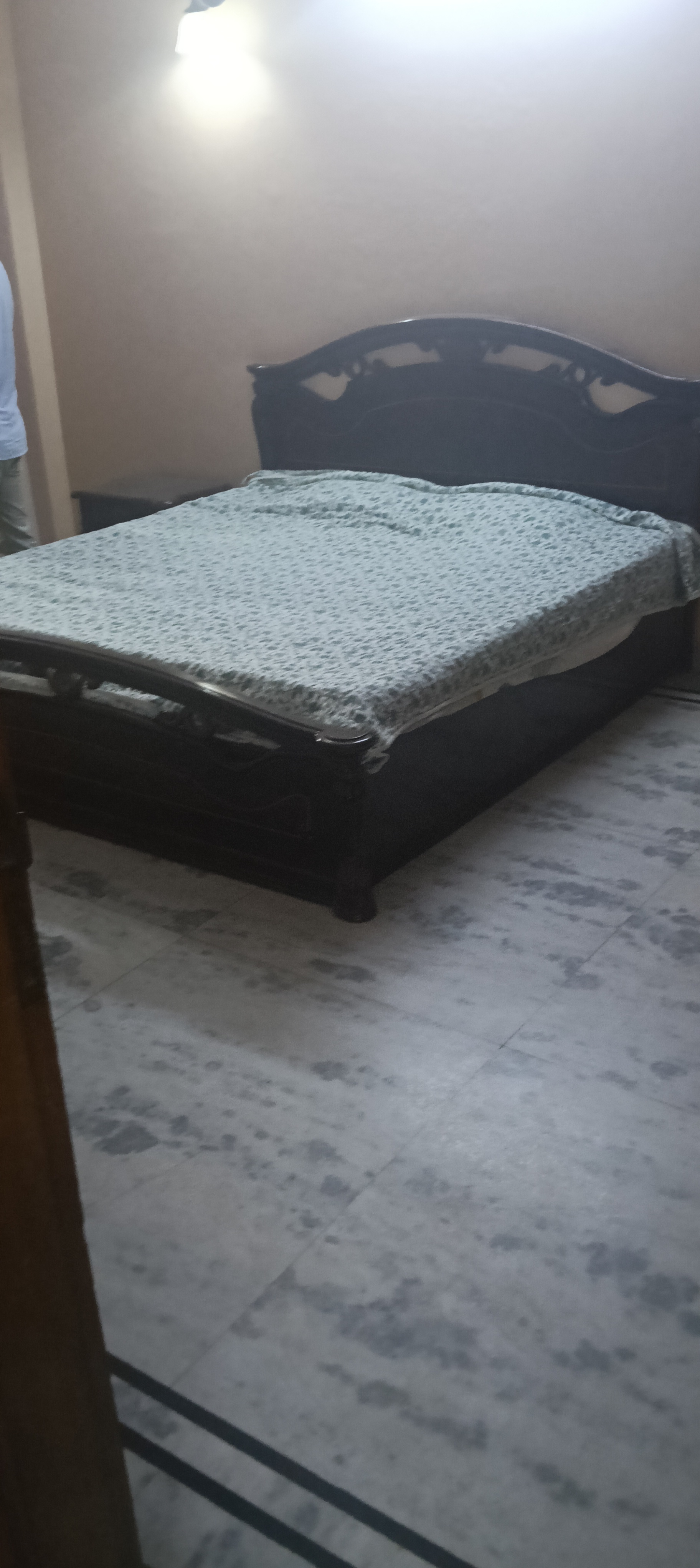 3 BHK + Servant Room Builder Floor For Rent in S R Properties