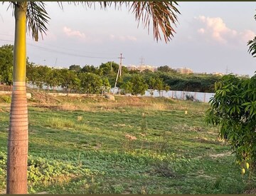  Plot For Sale in Dhansa
