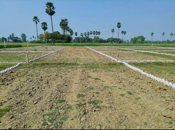  Plot For Sale in Bihta