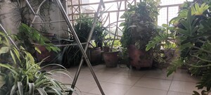 Balcony in 3 BHK Apartment at Gulshan Emerald Heights, Vaishali Sector 7 – for Sale